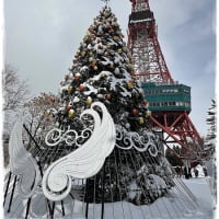 北海道・札幌ドームで米津クン！😍