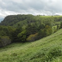 すずらんの滝　長和町