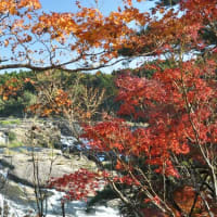 曽木の滝