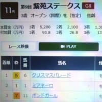 ミアネーロ　紫苑ステークス２着！　秋華賞出走権獲得！！