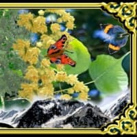 「すべての山に登れ」って、ナゼ・・・？