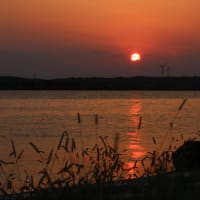 夕日