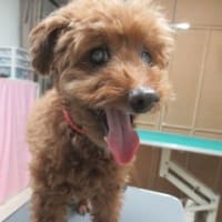 キメのポーズが、ワンパターンなお二人さん（笑）