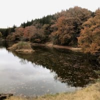 ため池B