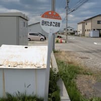 田村農園「たまご園」きみソフト