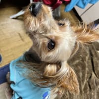 ☆ ルーティンを作り継続することの大切さと難しさ ☆