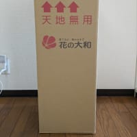 さくらもちさま🌸ありがとうございます🥹🍀