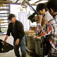 牛肉サミット2013