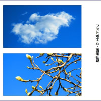 冬の空