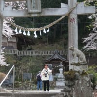 埼玉の旅　３日目　前半・・・青雲寺の枝垂れさくら