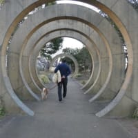 7月4日　ちょっとだけ寒い話！暑い日が続くからね☆彡　更新しました～～～♬