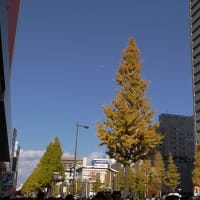 楽天日本一凱旋パレード