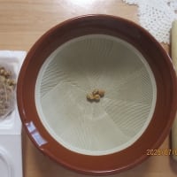 メロンのウドンコ病に納豆水
