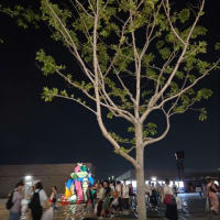 大阪万博行ってきましたの続きの続きです
