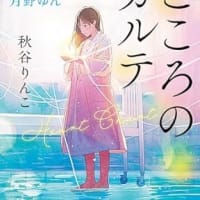 こころのカルテ　 潜入心理師・月野ゆん