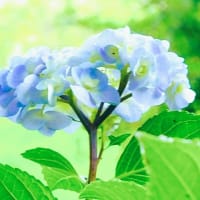 goo blogの機能と「朝の詩」