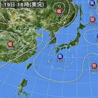 6月19日(木)