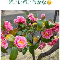 迷っちゃう「引越し」