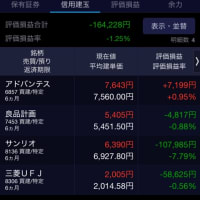 2028年5月29日の株式投資😊　ふふふ♪