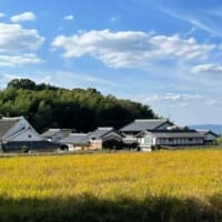 令和のコメ騒動