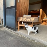 早起きまめの市