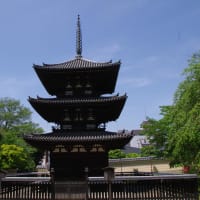京都/奈良　神社仏閣の魅力　その２ 興福寺