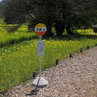 ブログのお引越し　進行状況つづき