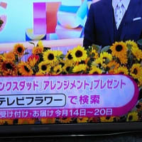 6/4・・・めざましテレビお花プレゼント(明日まで)
