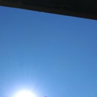 こんにちはʘ‿ʘ