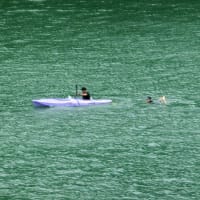 7月の水辺の風景