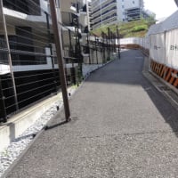 和光市白子の百段階段！ふらりとやって来ました。実際は77階段でした。
