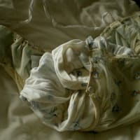 よしと君のおむつ