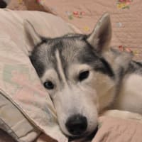 ありがとう。きっとまたね。