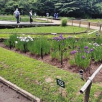 あんなに混むとは…