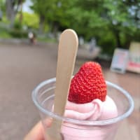 万博に行ったぞ！、の巻