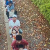 市川梨を目指して