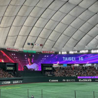 広島 vs 巨人（東京ドーム 2024/4/14）ハッチの好投を援護できず巨人戦3連敗