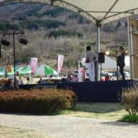 桃源郷へ。　～笛吹市桃源郷春まつり～
