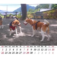 6月〜。