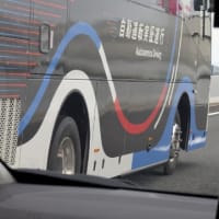 ブルーインパルス残念ながら中止となりましたね
