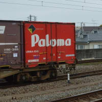 パロマのコンテナ貨物（UR19A-1501）、、コキ107に積載【尻手駅：南武支線】　2024.4.18 