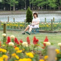 ドールの野外ロケ復活なるか！？