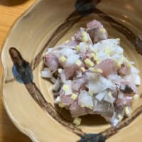 鯵を見かけたので