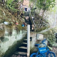 秘密の水場でリフレッシュした高尾トレリート