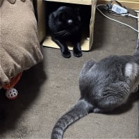 梅雨入り