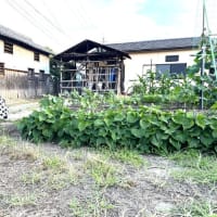 6月21日（土）③