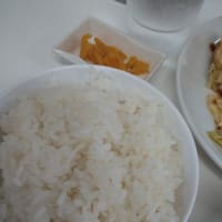 中華料理（兆楽／香港亭／れんげ食堂Toshu）（2024年7月）