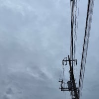 2025/06/07