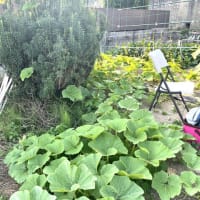 6月30日（月）③