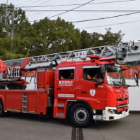 東京消防庁　向島消防署　はしご車
